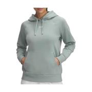 Sweater Under Armour -