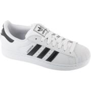 Lage Sneakers adidas adidas Superstar II