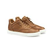 Lage Sneakers Lloyd -
