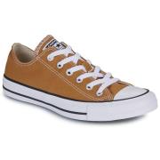 Lage Sneakers Converse CHUCK TAYLOR ALL STAR
