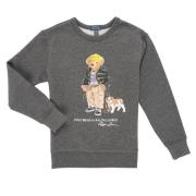 Sweater Polo Ralph Lauren BEAR KNIT-SWEATSHIRT