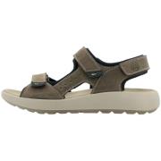 Sandalen Ara -