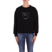 Sweater Pinko 100534 A2RO