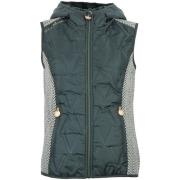 Blazer Peak Mountain Blouson polaire ANTILOPE