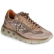 Lage Sneakers Cetti C-1259-SRA-XLEXP-INV-ANTE-METAL-DESSERT