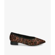 Ballerina's Stephen Allen LAUR-8 K19123-38