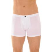 Boxers Cane BASTIA