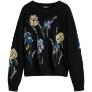 Trui Desigual JERS_COOPER 25WWJF36