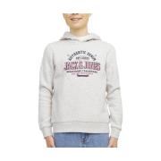 Sweater Jack &amp; Jones -