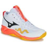 Sportschoenen Mizuno WAVE MOMENTUM PRO MID