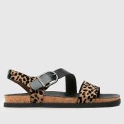 Broek Blowfish Malibu J3441S1002 Lance Leopard 4415