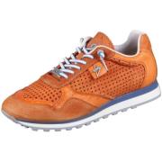 Lage Sneakers Cetti -