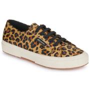 Lage Sneakers Superga 2750 CALFHAIR