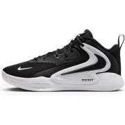 Basketbalschoenen Nike Zoom Hyperset 2
