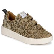 Lage Sneakers Adige ALFAI