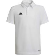 T-shirt adidas Ent22 Y
