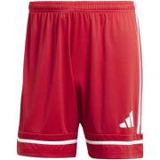Korte Broek adidas Squa25 Sho M