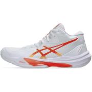 Hardloopschoenen Asics Sky Elite Ff Mt 3