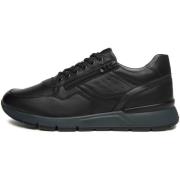 Sneakers NeroGiardini Sagar Deco Sauvage Dark Grey Pu.Bidens.Poggio B1...