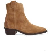 Enkellaarzen Alpe 39819