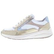 Sneakers Solidus Kitty