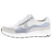 Sneakers Solidus Kea