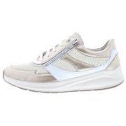 Sneakers Solidus Kitty