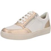 Lage Sneakers Solidus Kendal