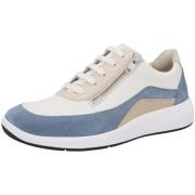 Instappers Solidus Halea