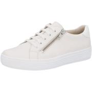 Instappers Solidus Hazel