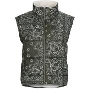 Donsjas ARIZONA LOVE PHOENIX