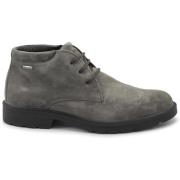 Laarzen IgI&amp;CO IGI-I25-8602533-FA