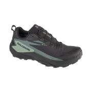 Hardloopschoenen Salomon Genesis Gtx