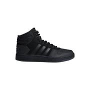 Lage Sneakers adidas Hoops Mid 20