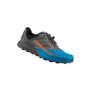 Hardloopschoenen Dynafit Alpine