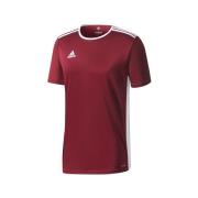 T-shirt Korte Mouw adidas JR Entrada 18