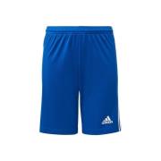 Korte Broek adidas JR Squadra 21