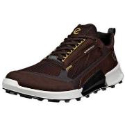 Lage Sneakers Ecco Biom 2.1 X Mountain Low