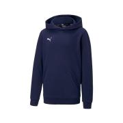 Sweater Puma Teamgoal 23 Causals Hoody