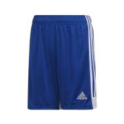 Korte Broek adidas Tastigo 19