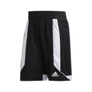 Korte Broek adidas Creator 365