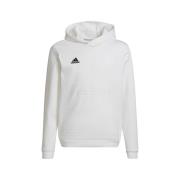 Sweater adidas Entrada 22
