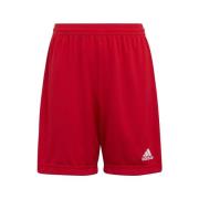 Korte Broek adidas Entrada 22