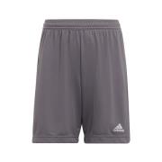 Korte Broek adidas Entrada 22