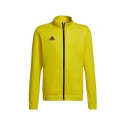 Sweater adidas Entrada 22