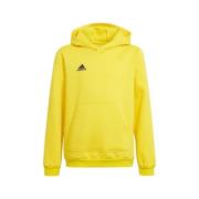 Sweater adidas Entrada 22