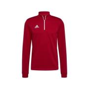 Sweater adidas Entrada 22
