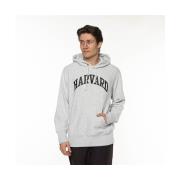 Sweater Champion Harvard