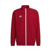 Sweater adidas Entrada 22 Presentation