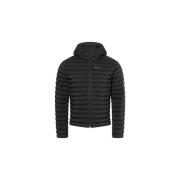 Donsjas Marmot Echo Featherless